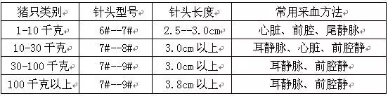 豬前腔靜脈采血常用針頭表