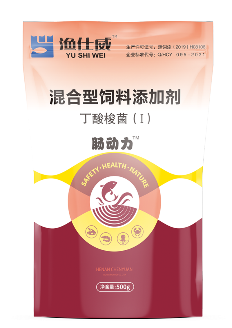 腸動力