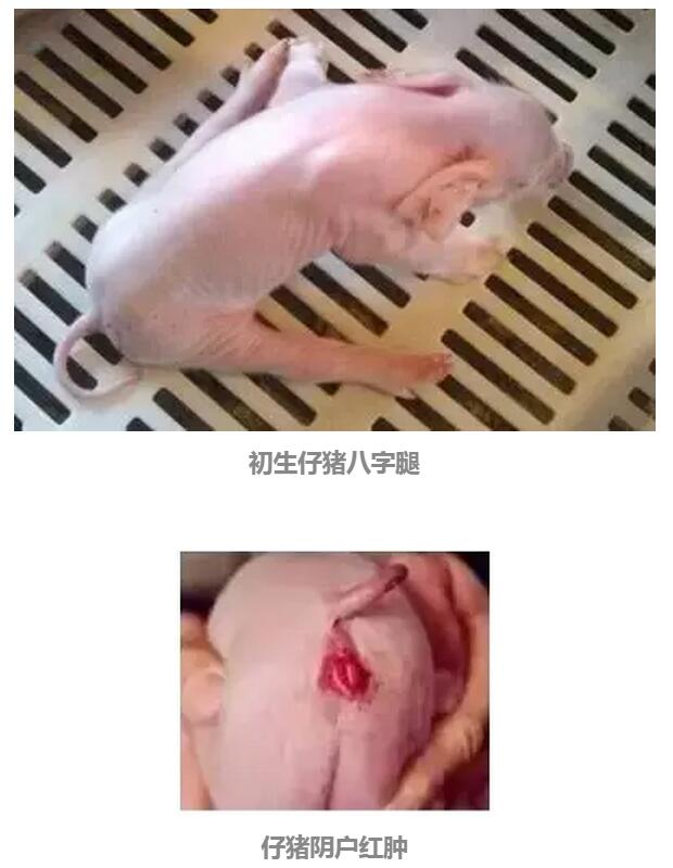 圖片2
