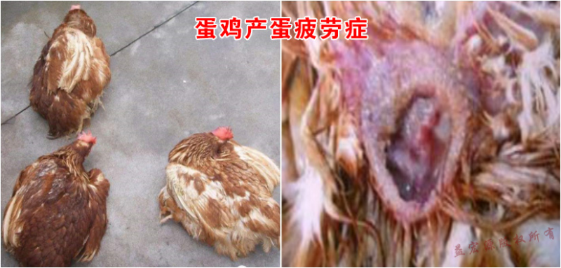 圖片1