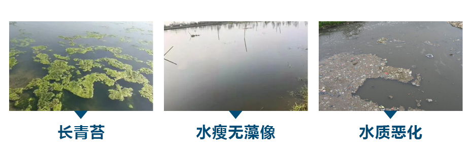 水產養殖中常見的水質問題