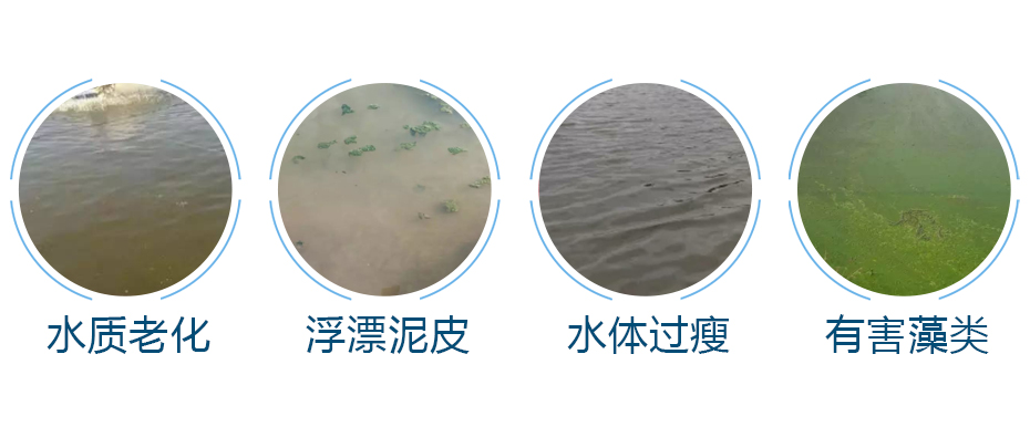 水產養殖中的常見問題