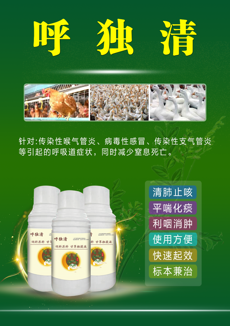 鴨黑肺病預防