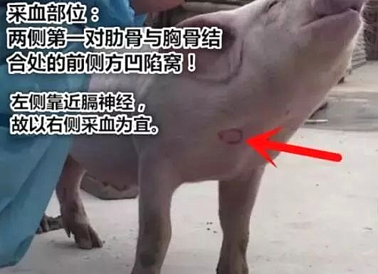 圖片 1