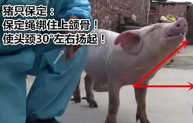 圖片 2