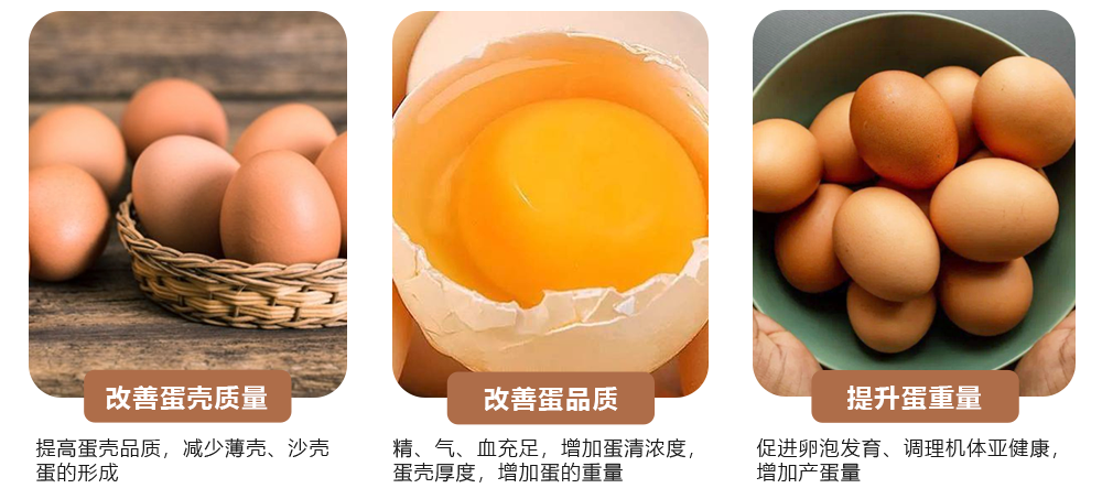 蛋肽豐產品功效