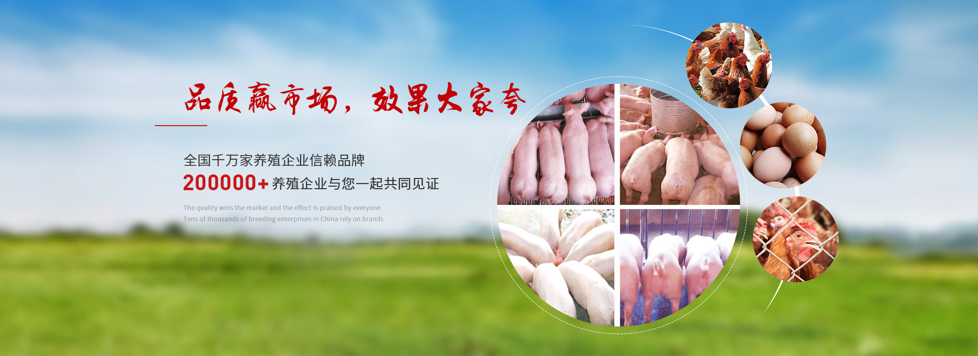 晨源生物 品質贏市場 效果大家夸