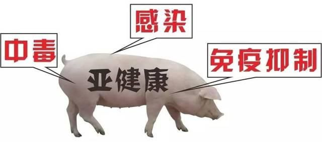 圖片3