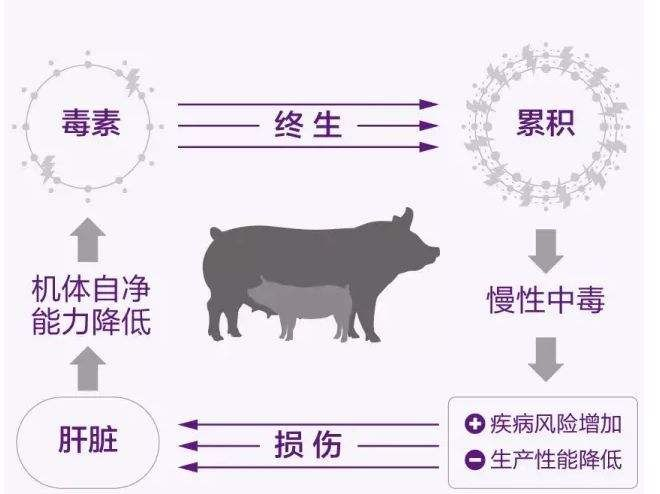 圖片2
