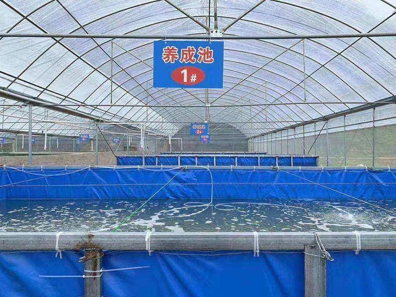 晨源生物水產養殖