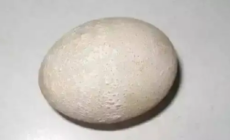 圖片1