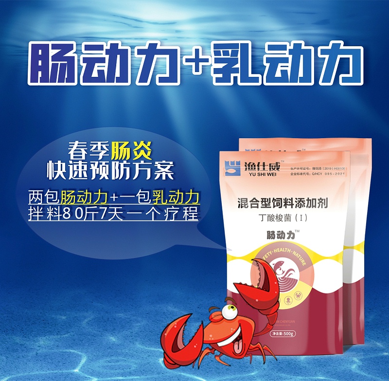 腸動(dòng)力+乳動(dòng)力(1)