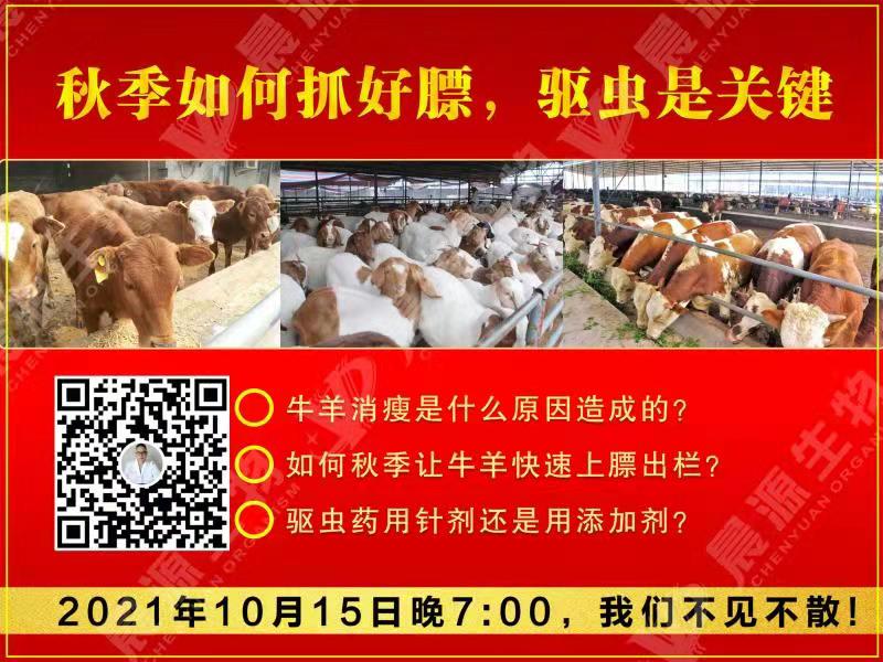 秋季如何牛羊催肥上膘？