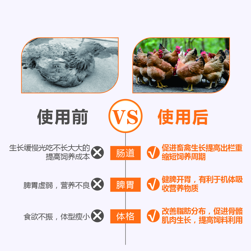 禽催肥促生長-肥旺旺