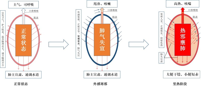 雞呼吸道發病的原理