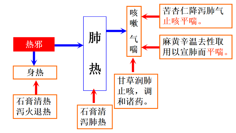 市場常見中藥成分治療呼吸道的原理