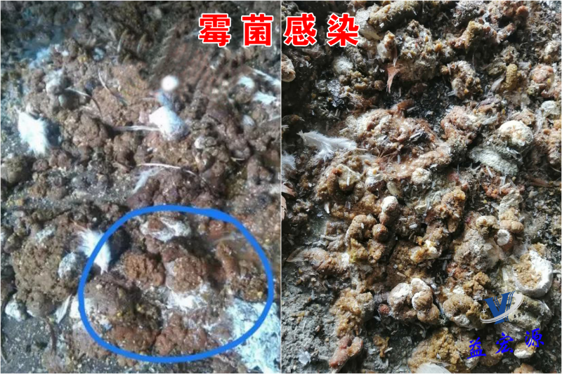 圖片3