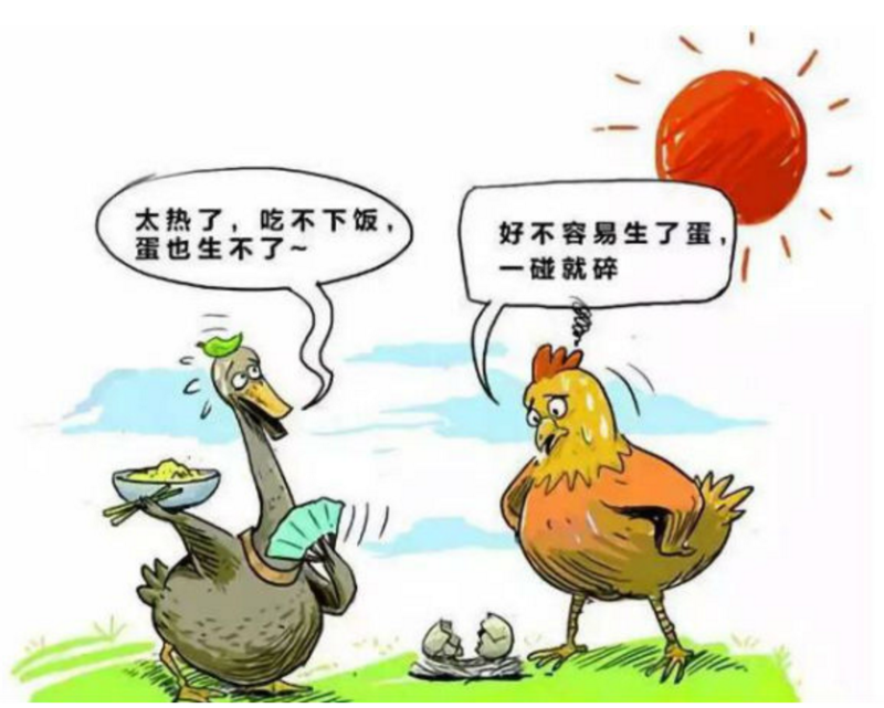 圖片2