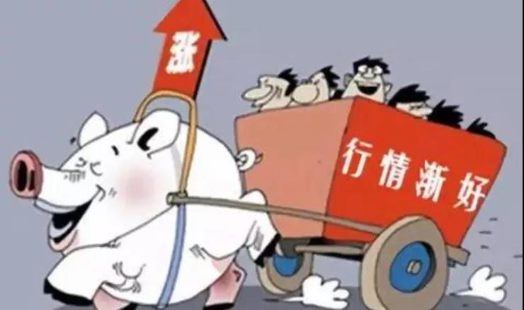 生豬行情