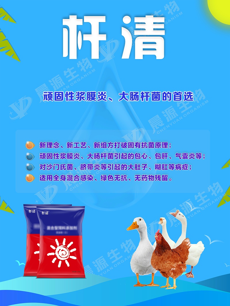 桿清(1)