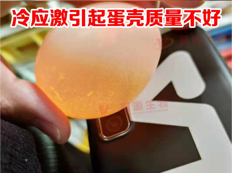 圖片1 - 副本