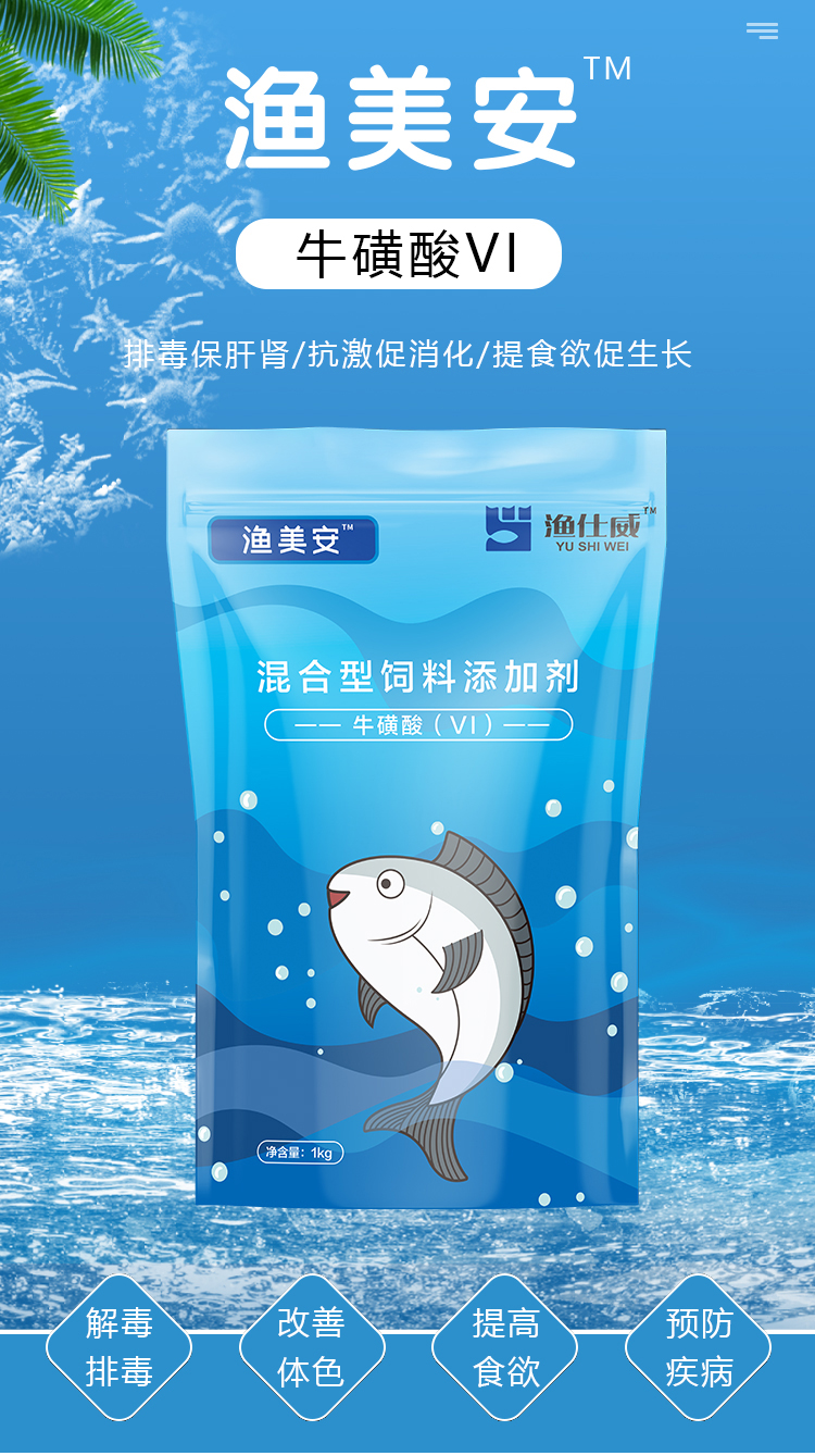 漁美安
