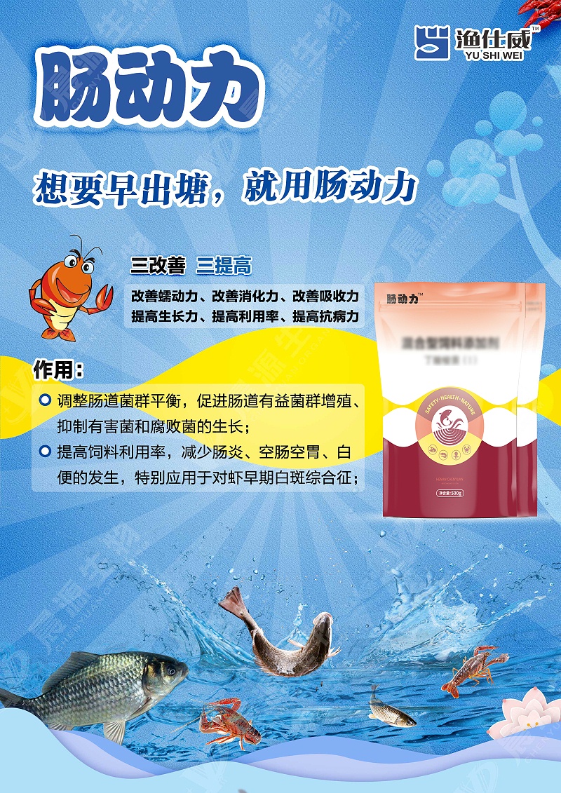 腸動力